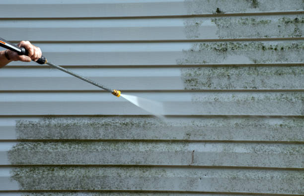 Best Sidewalk and Walkway Cleaning  in Wellton, AZ